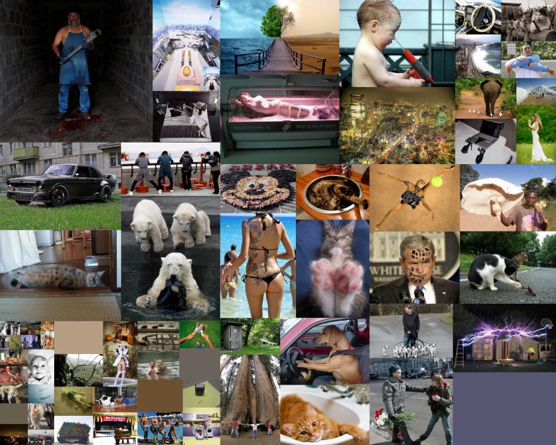 prikol-foto-130309-63