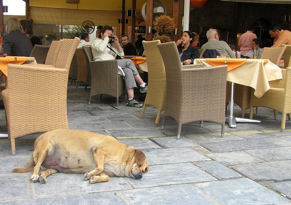 foto-prikol-170409-06