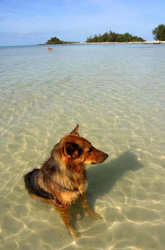 foto-prikol-170409-12