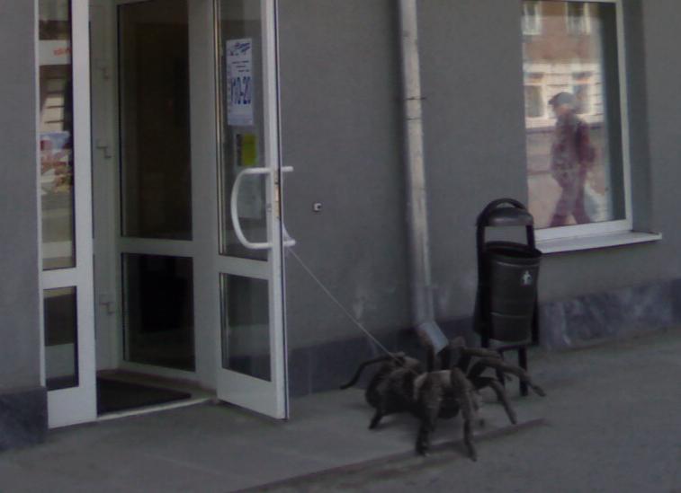 foto-prikol-170409-23