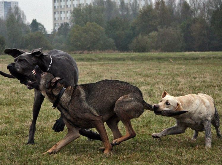 foto-prikol-170409-27