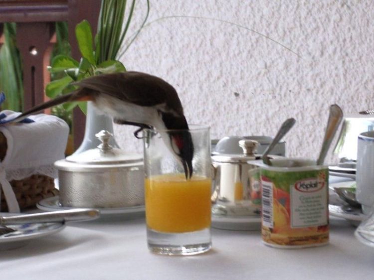 foto-prikol-170409-36