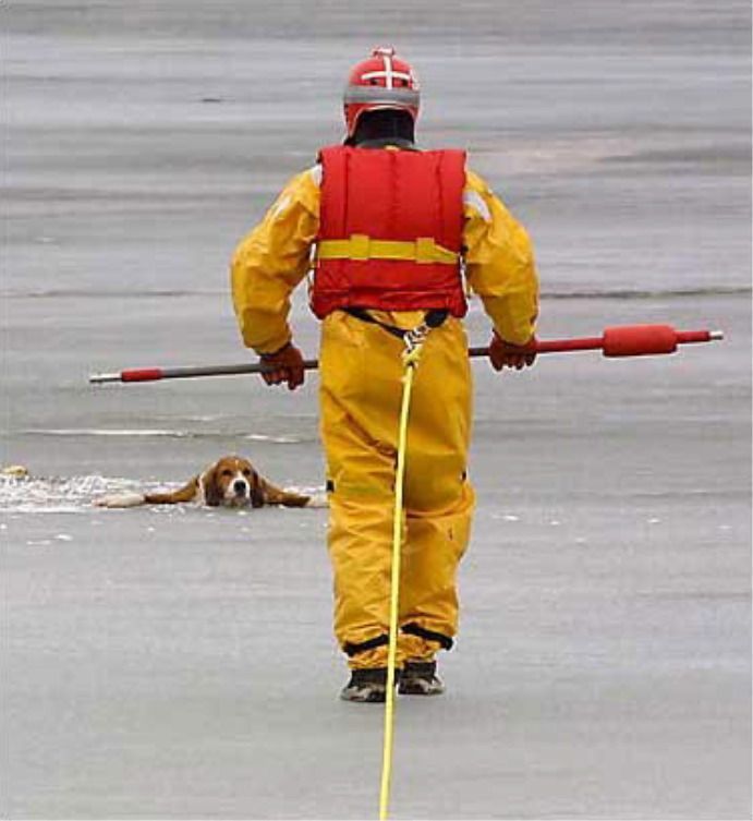 foto-prikol-170409-38