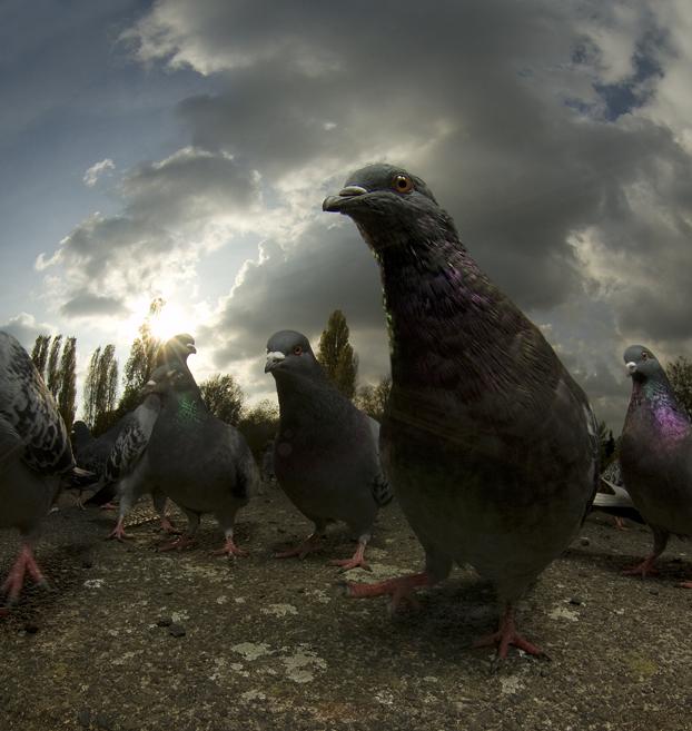 foto-prikol-170409-56