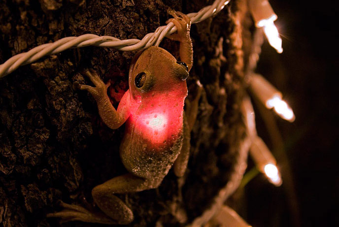 foto-prikol-170409-69