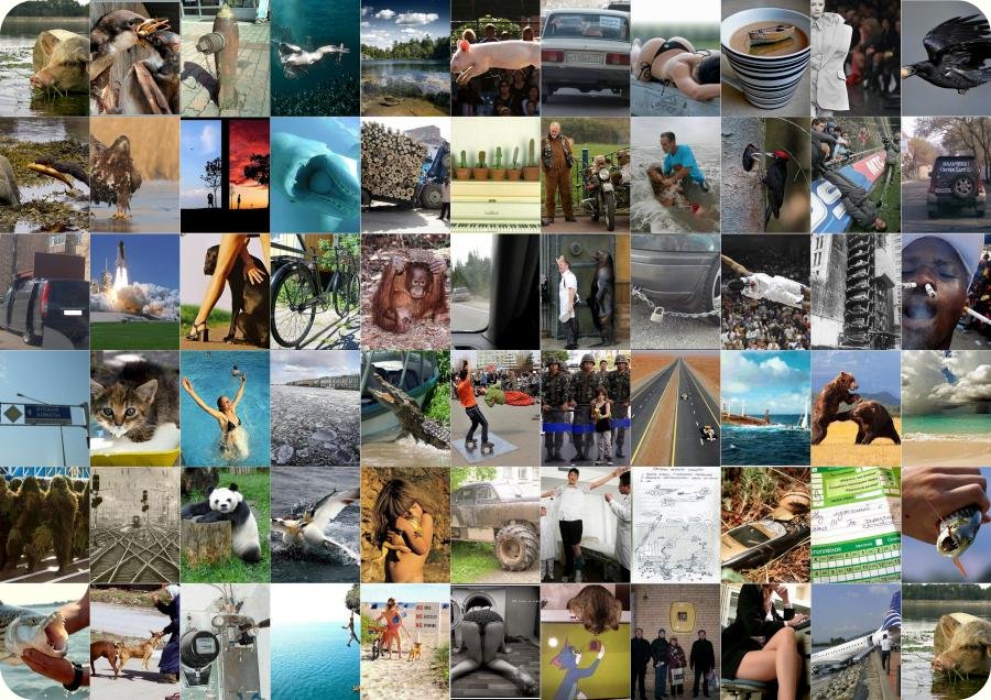 foto-prikol-240409-00