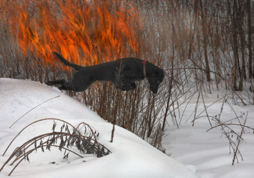 fotoprikoli-090409-04