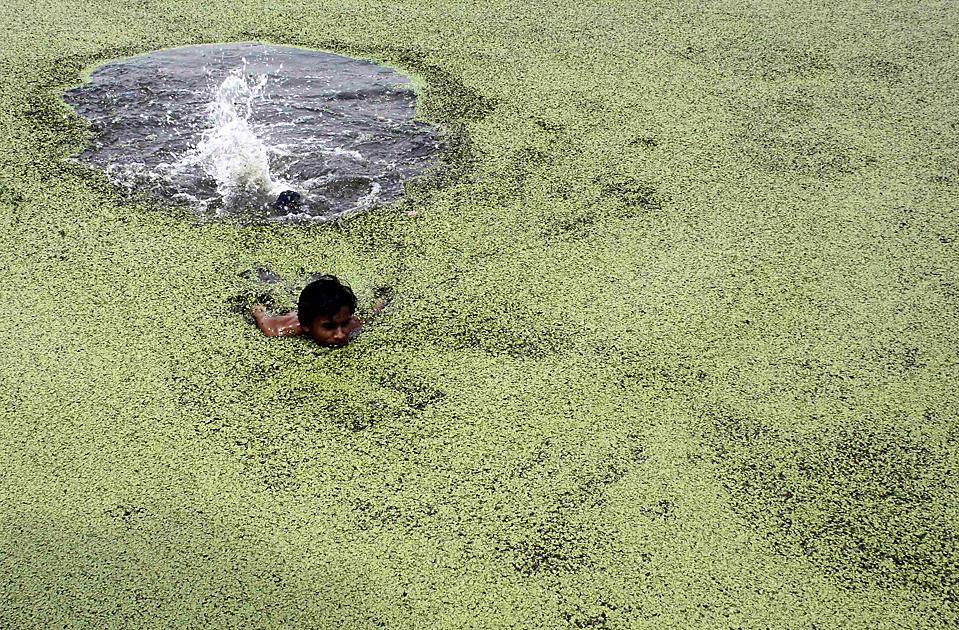 fotoprikoli-090409-28