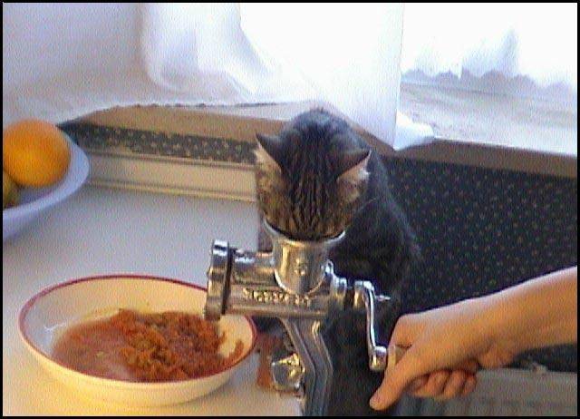 fotoprikoli-090409-35