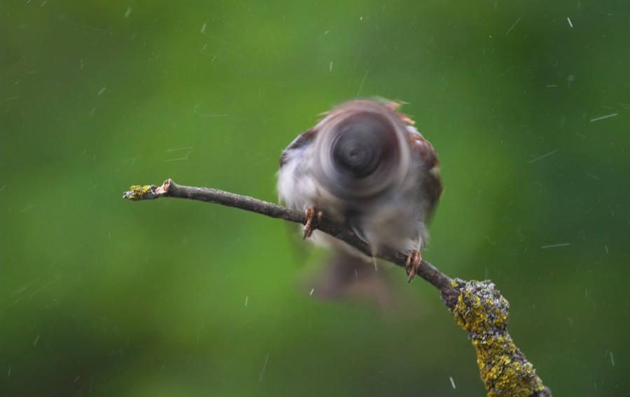 fotoprikoli-090409-53