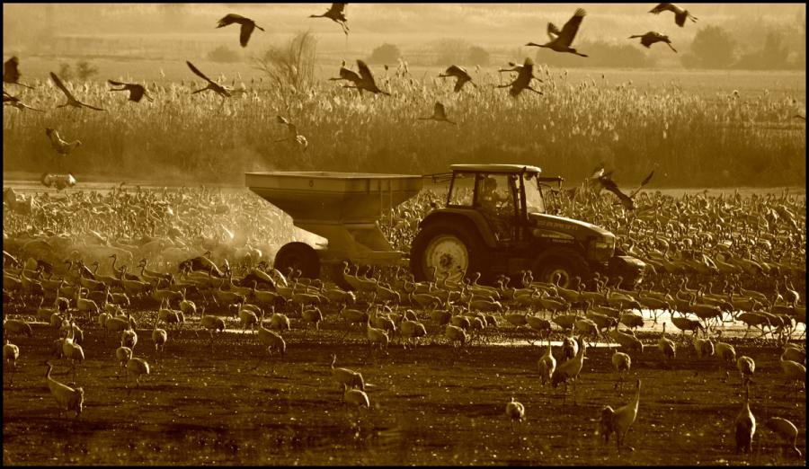 fotoprikoli-090409-56