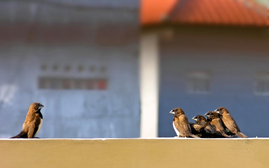 fotoprikoli-090409-65