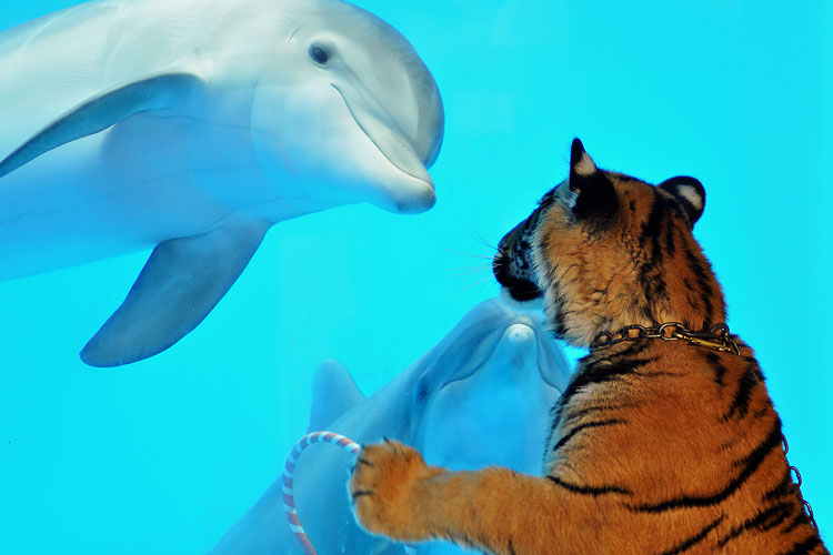 photo-prikol-030409-05