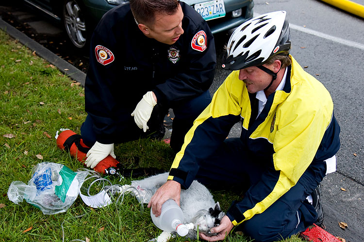 photo-prikol-030409-07