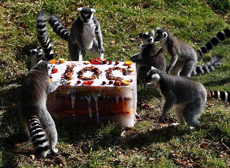 photo-prikol-030409-09