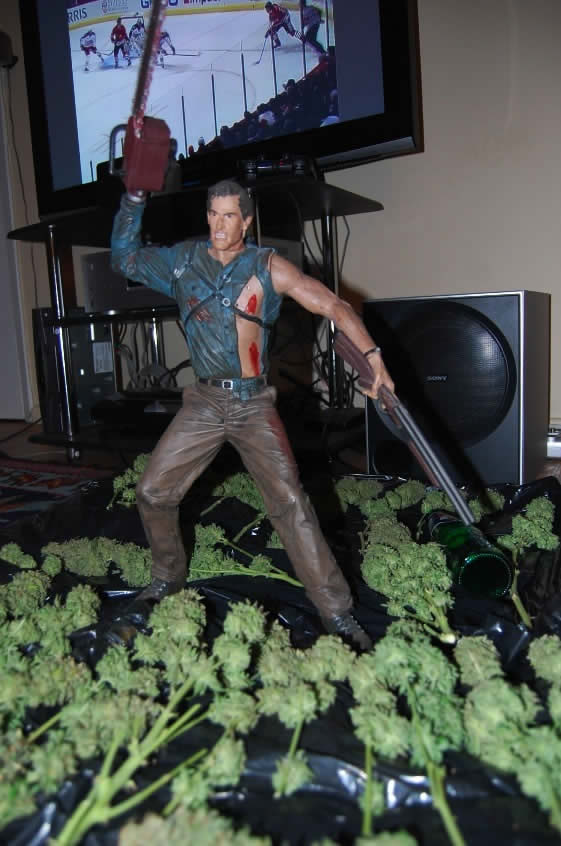 photo-prikol-030409-22