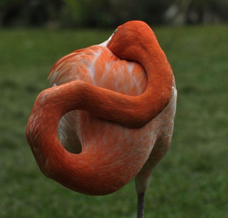 photo-prikol-030409-32