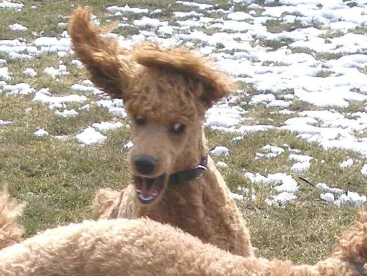 photo-prikol-030409-33