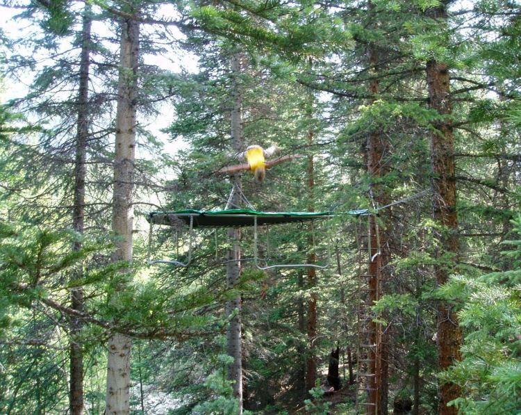 photo-prikol-030409-38