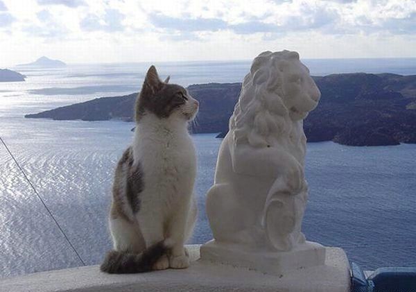 photo-prikol-030409-47