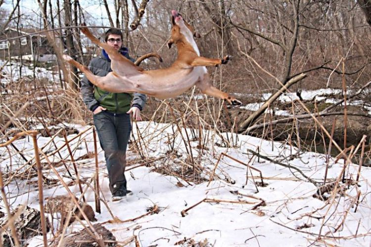 photo-prikol-030409-49