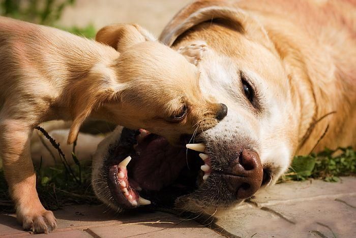 photo-prikol-030409-53