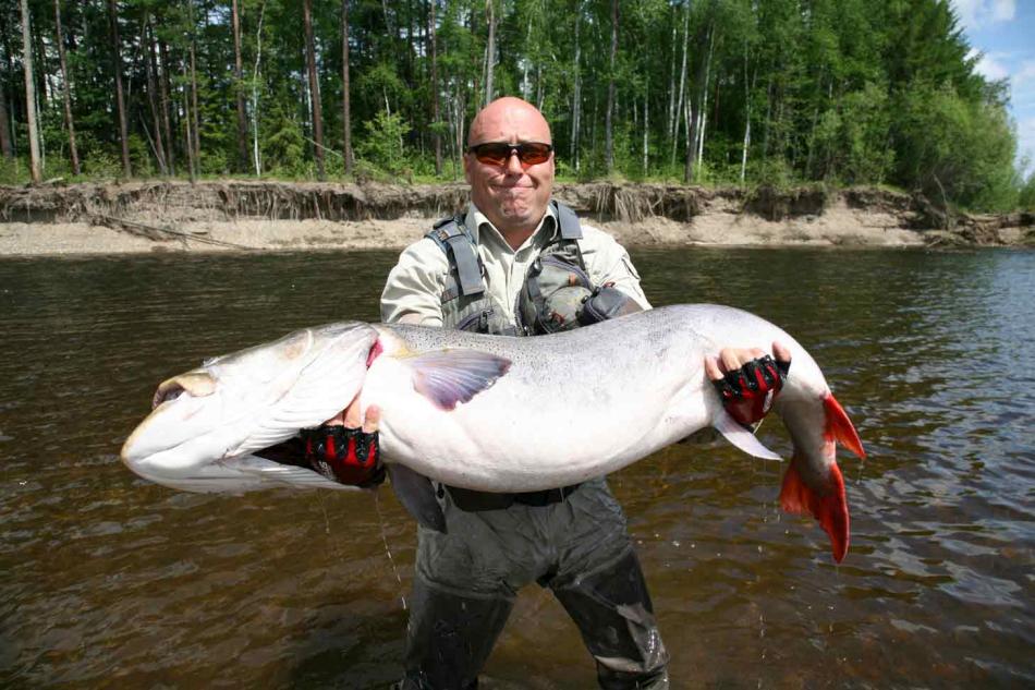 photo-prikol-030409-68