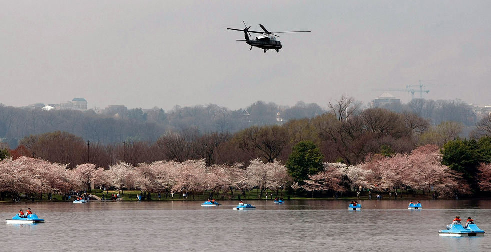 vesna-i-vishni-vashington-03