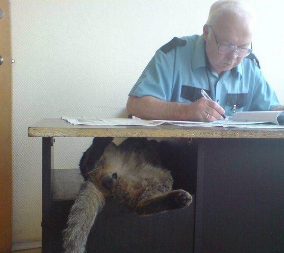 photo-prikol-010509-09