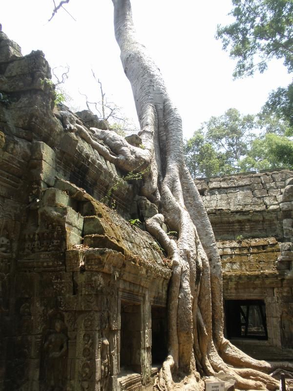 photo-prikol-010509-15