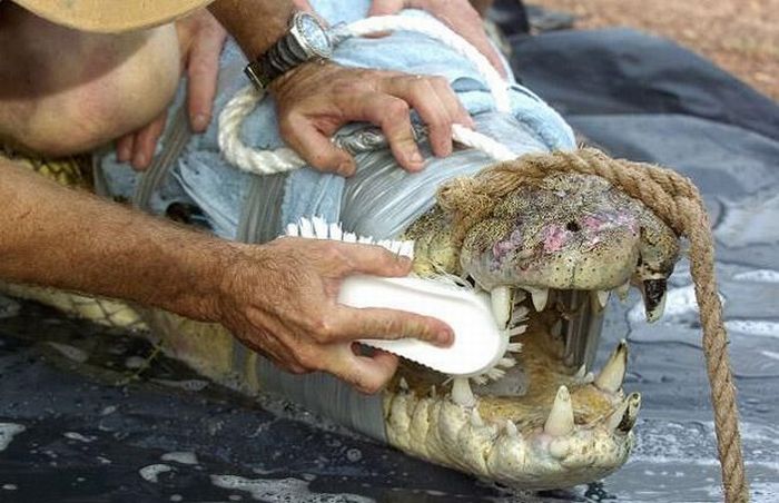 photo-prikol-010509-22