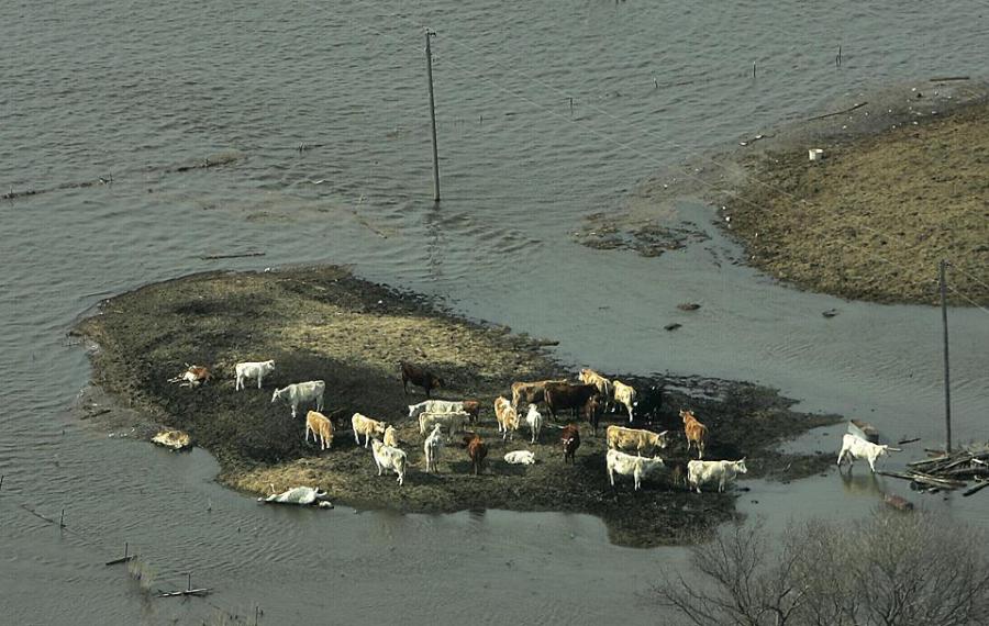 photo-prikol-010509-62