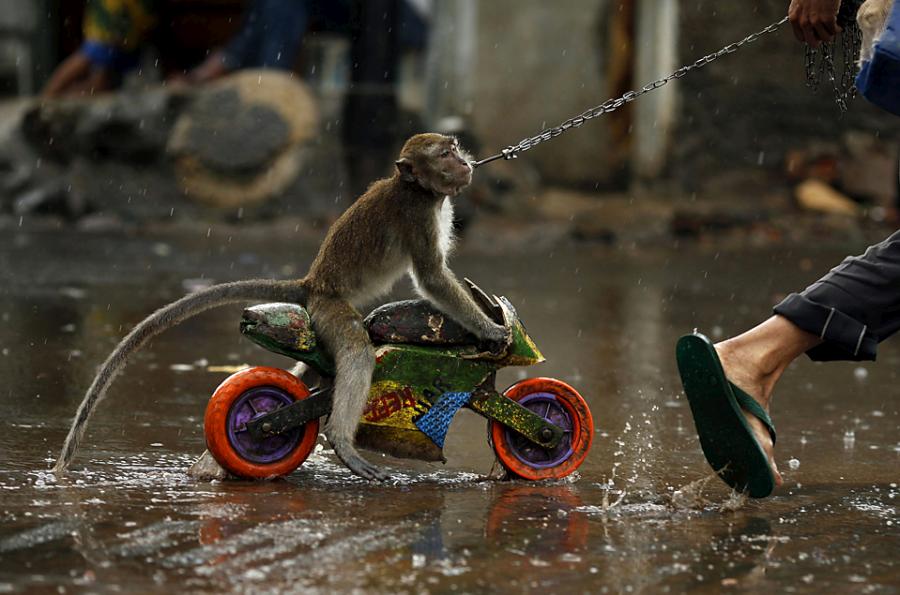 photo-prikol-010509-63