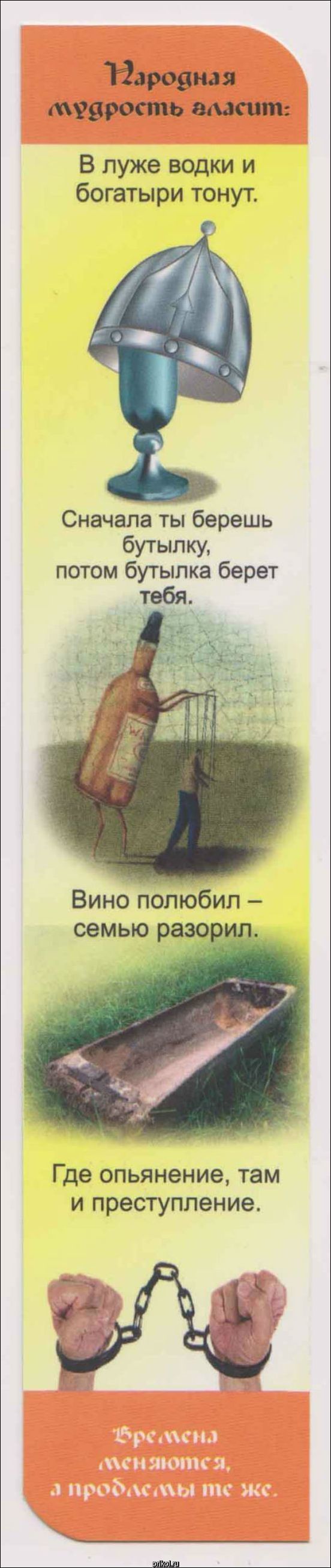 Ярославские школьники получили закладки с антиалкогольной пропагандой