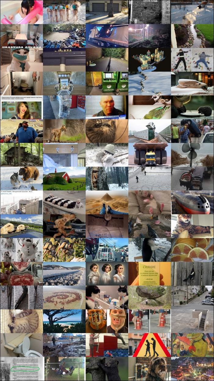 Фото-приколы (80 фото)