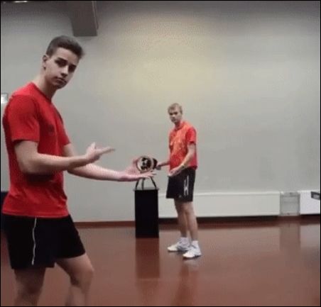 Прикольные гифки (14 штук)