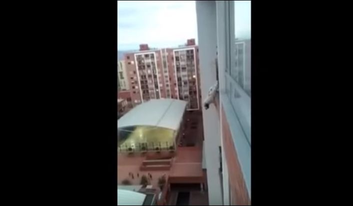 Колумбиец спас собаку, которая едва не выпала с балкона многоэтажки