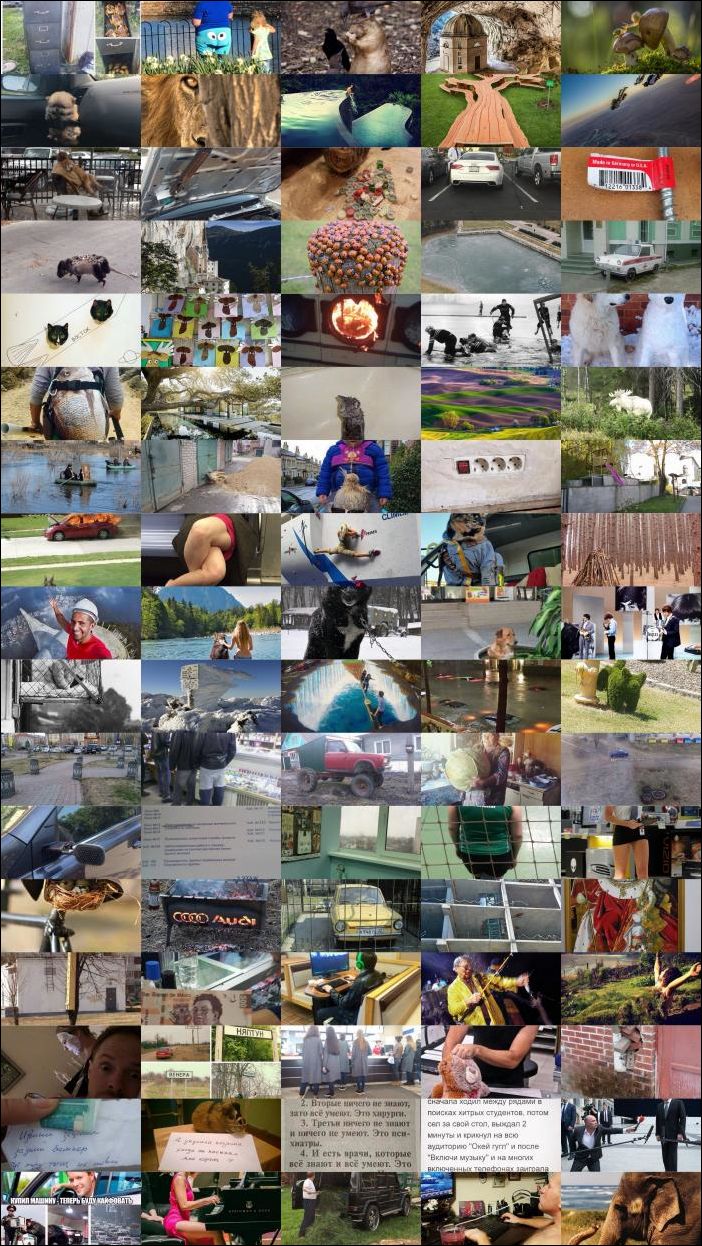 Фото-приколы (85 фото)