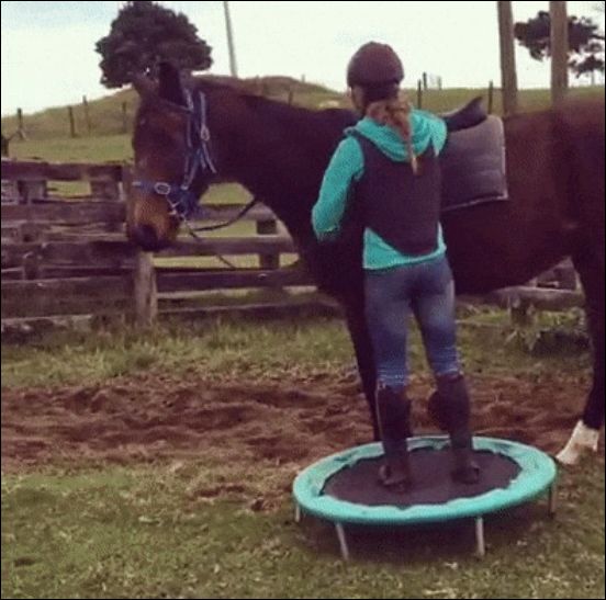 Прикольные и смешные гифки (10 штук)