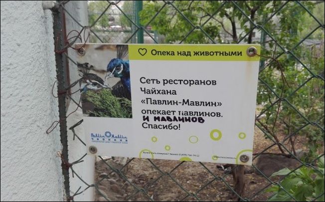 Прикольные надписи и объявления, ЧАСТЬ 291 (22 фото)