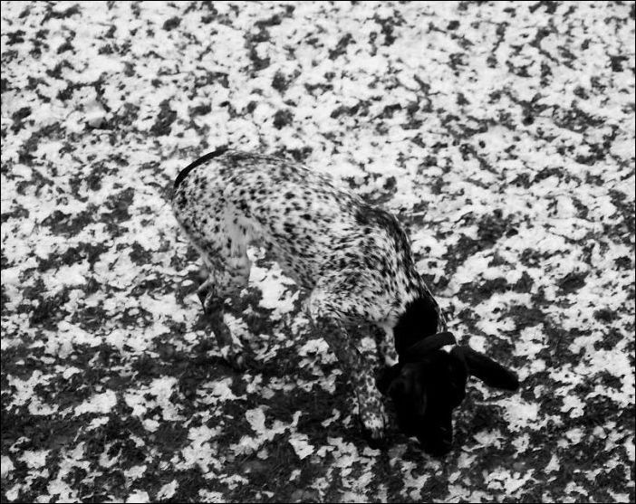 dusgiuse-008
