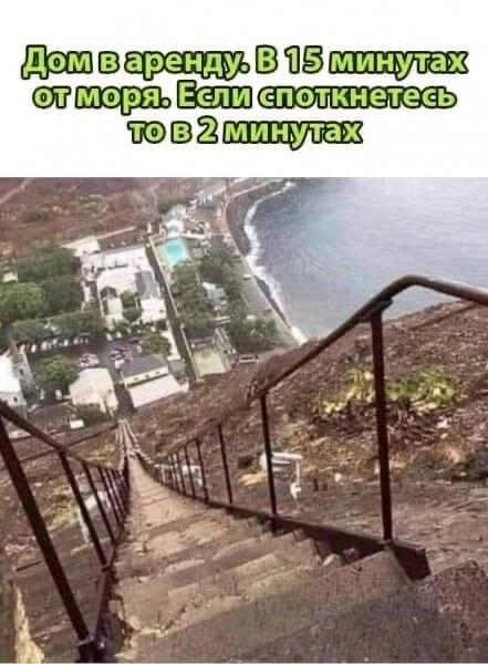 смешные картинки