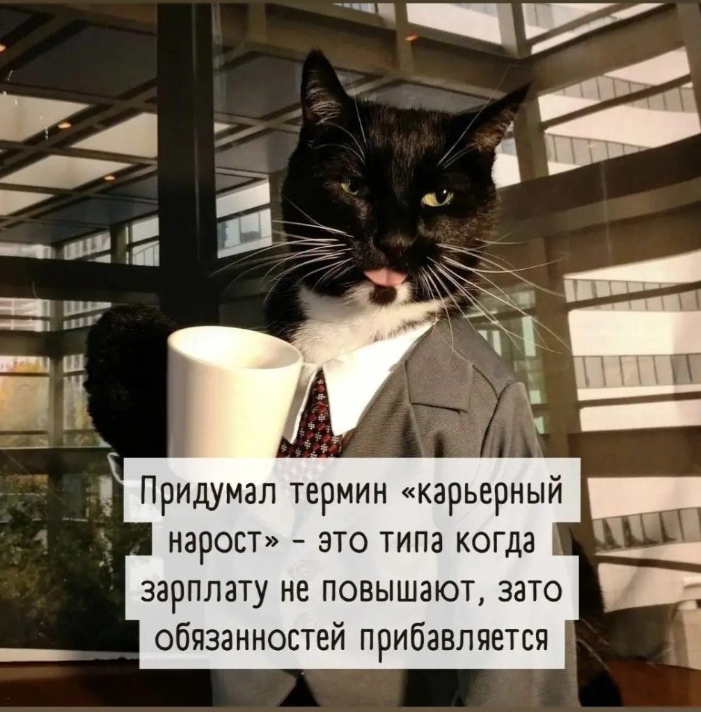 смешные картинки