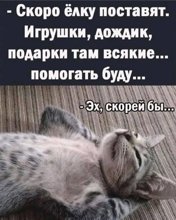 4008c0fcb2fe494998f9b5eca75c573f.jpg